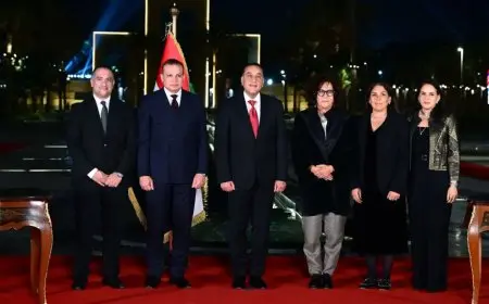 رئيس الوزراء يطلق مهرجان الفسطاط الشتوي من حديقة تلال الفسطاط ويشهد الفعاليات المبهرة