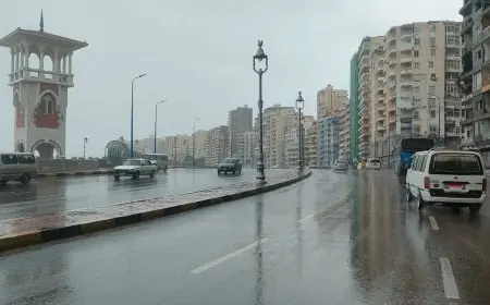 توقعات الطقس اليوم: صباح بارد مع أمطار خفيفة ورياح نشطة في عدة مناطق