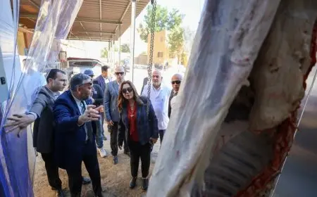 اول مجزر متنقل محلي بالكامل يفتح أبوابه في مصر للمرة الأولى