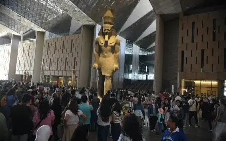 اكتشف أسعار تذاكر زيارة المتحف المصري الكبير للمصريين والأجانب في دليلك الشامل