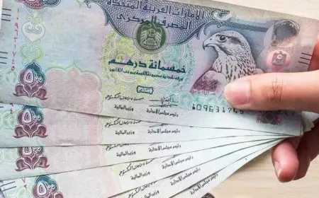 تحديث سعر صرف الدرهم الإماراتي مقابل الجنيه المصري اليوم الأحد 16 نوفمبر 2025