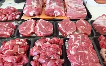 انخفاض أسعار اللحوم في مصر نقيب الفلاحين يعلن عن سعر الجاموسي 145 جنيه والمنتجات الغذائية آمنة