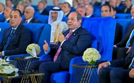 الرئيس السيسي يؤكد أن مصر تشهد إنجازات كبيرة في مجالات الموانئ والسكك الحديدية والطرق