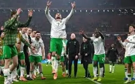 أيرلندا تحسم تأهلها لملحق مونديال 2026 في اللحظات الأخيرة