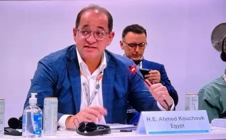 وزير المالية يدعو لتعزيز دور المؤسسات الدولية في تمويل المشروعات الخضراء بالدول النامية