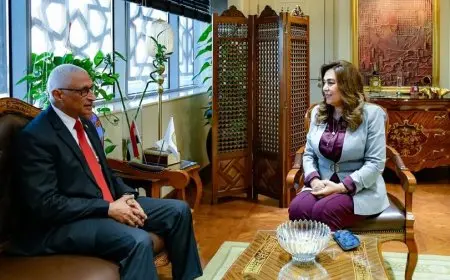 وزيرة التنمية المحلية تستعرض مع محافظ شمال سيناء التقدم في تنفيذ المشروعات التنموية