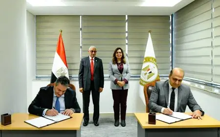 التنمية المحلية وأسطورة أسمنت سيناء يتعاونان لتحقيق إدارة مستدامة للمخلفات في شمال سيناء