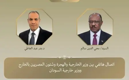مصر ترفض تقسيم السودان وتدعو لوقف الانتهاكات في الفاشر