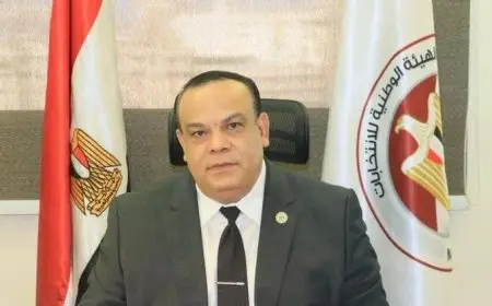 رئيس الهيئة الوطنية للانتخابات يؤكد أن دخول النواب للبرلمان يعتمد على إرادة الناخبين