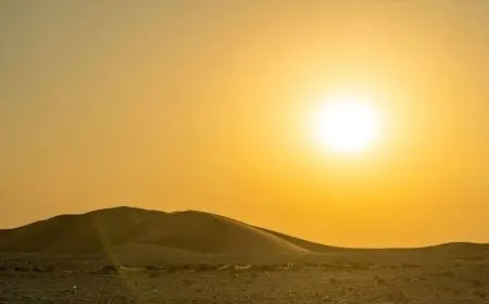 توقعات الطقس غدًا استمرار ارتفاع درجات الحرارة مع ظهور شبورة وأمطار خفيفة