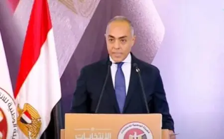 المستشار أحمد بنداري يؤكد الشفافية الكاملة في الهيئة الوطنية للانتخابات ويصف قرار الإلغاء بأنه تاريخي