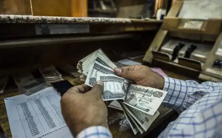 صرف معاشات ديسمبر 2025 تفاصيل كاملة وخطوات الاستعلام السهلة