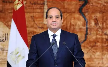 الرئيس السيسي يعلن بداية عصر جديد لمصر في استخدام الطاقة النووية السلمية