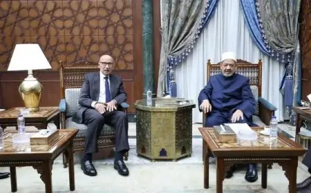 شيخ الأزهر يستقبل وفد مجلس القضاء الأعلى برئاسة المستشار عاصم الغايش لتعزيز التعاون القضائي