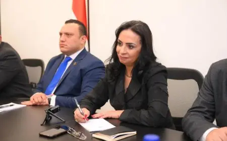 التضامن تعلن عن خطط لتحويل العاصمة الجديدة إلى أول مدينة صديقة للأطفال في المنطقة