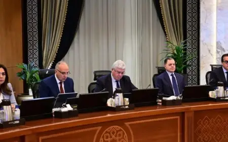 مجلس الوزراء يوافق على إصدار لائحة جديدة لتنظيم التصوير الأجنبي في مصر