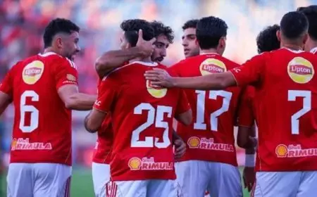 تاريخ سلبي يحاصر الأهلي قبل مواجهة شبيبة القبائل في صراع الأبطال