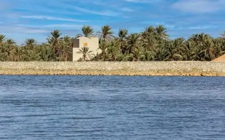 وزير الري يعلن عن بدء إنشاء محطة رفع جديدة لنقل مياه بحيرة بهي الدين إلى منخفض عين الجنبي