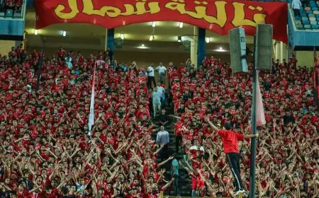 الأهلي يحث جماهيره على الدعم المستعجل قبل مباراة شبيبة القبائل