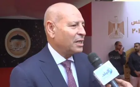 محافظ القاهرة يحث الناخبين على المشاركة الفعالة في الانتخابات مع تأكيد انتظام العملية الانتخابية