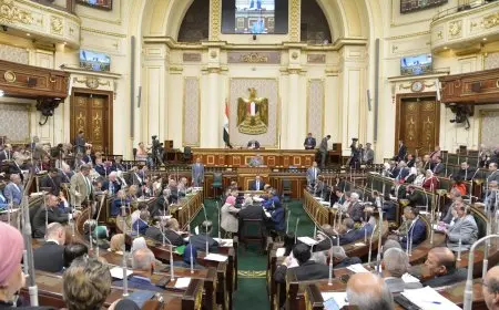 البرلمان الجديد في انتظار تشريعات قانونية ورقابة متوازنة لتحقيق التنمية المستدامة