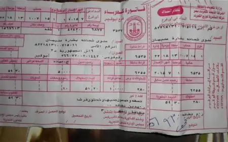 أفضل طرق شحن كارت الكهرباء في 2025 من راحة منزلك