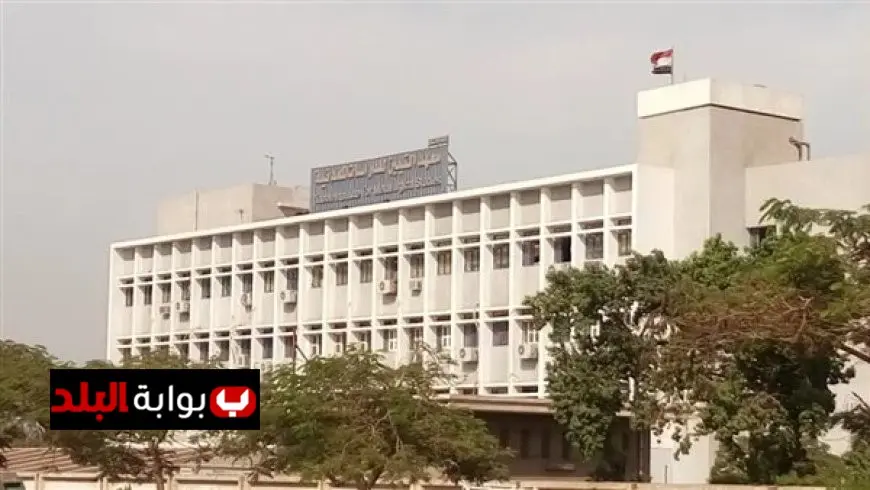 افتتاح المتحف المصري الكبير يعكس روعة الحضارة المصرية من خلال الذهب والمجوهرات