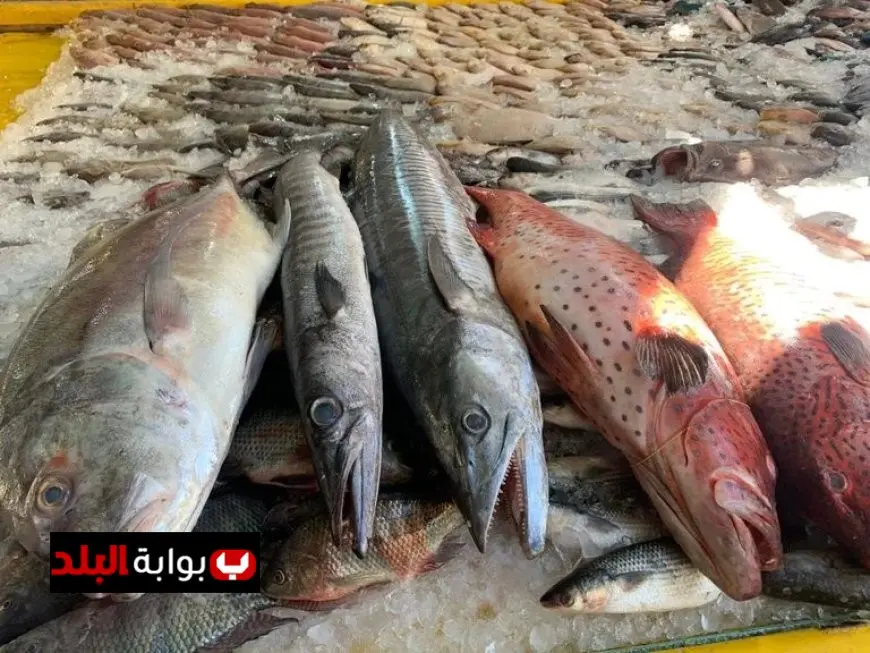 أسعار الأسماك اليوم الأحد المكرونة سويسي تنطلق من 85 جنيهًا