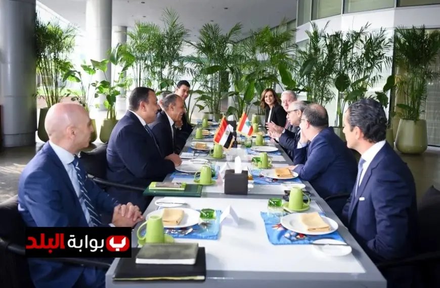 وزير الخارجية يعبر عن دعم مصر الراسخ لسيادة لبنان ووحدته الوطنية