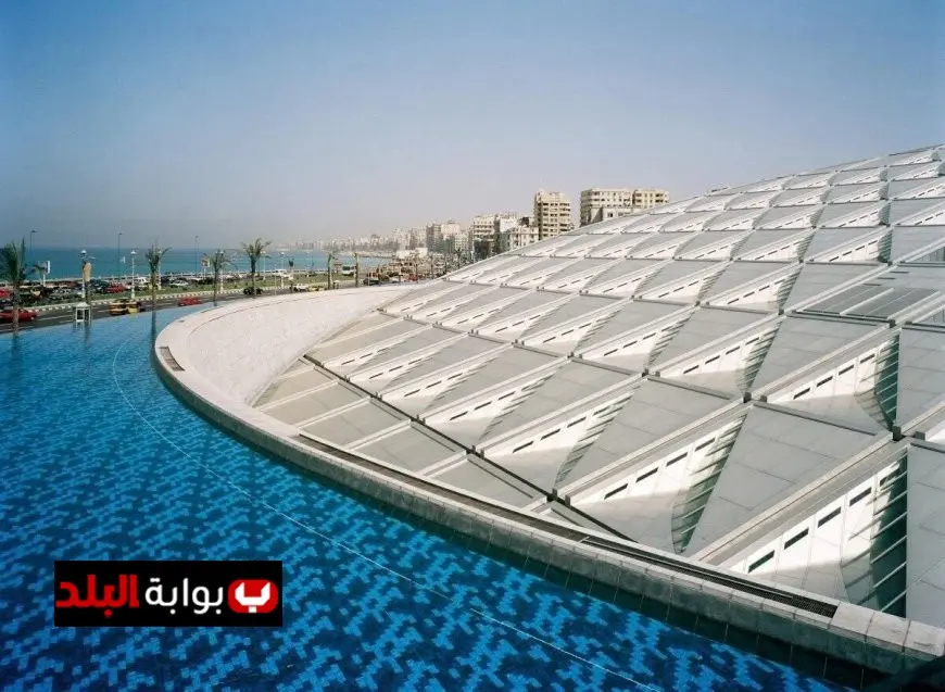 مكتبة الإسكندرية تقدم دورات مجانية في اللغة الهيروغليفية للمصريين لتعزيز الثقافة التاريخية