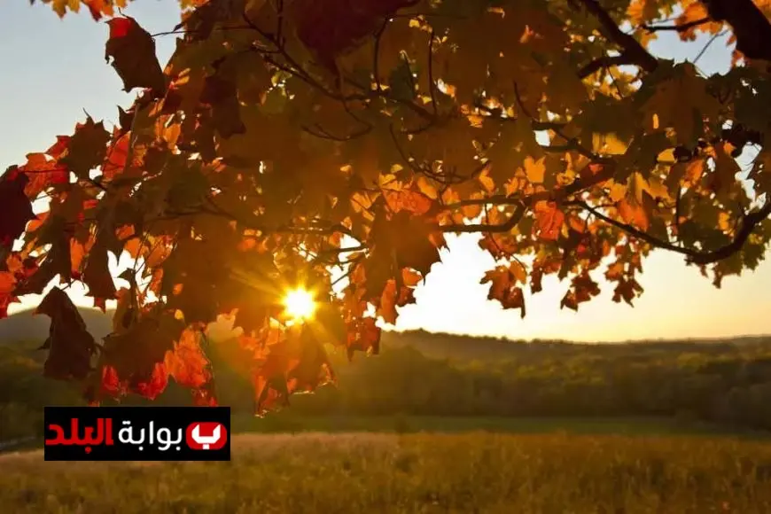الأرصاد الجوية تحذر من تقلبات جوية حادة بين الأمطار وارتفاع درجات الحرارة خلال فصل الخريف