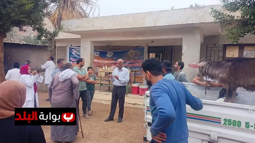 البحوث الزراعية تطلق 3 قوافل بيطرية مجانية في القليوبية لدعم صغار المربين والارتقاء بالثروة الحيوانية
