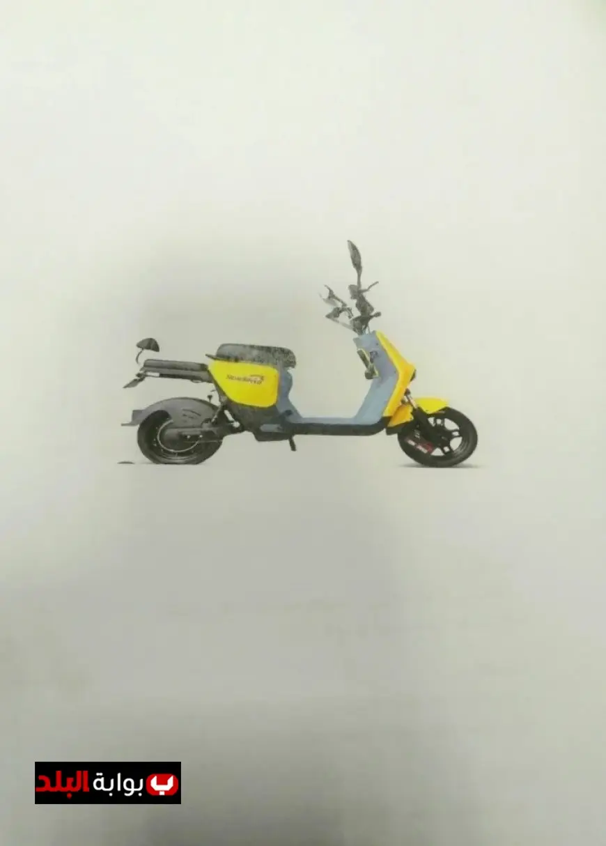 حظر استخدام السكوتر الكهربائي في شوارع القاهرة وبدء حملات للضبط اليومية