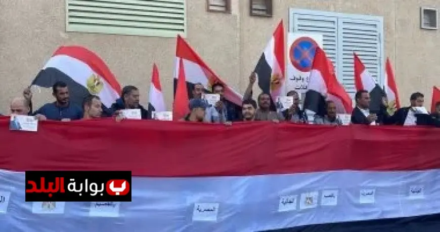 الانتخابات البرلمانية بالخارج تظهر قدرة المصريين على تمثيل وطنهم بصورة مشرفة للعالم فيديو