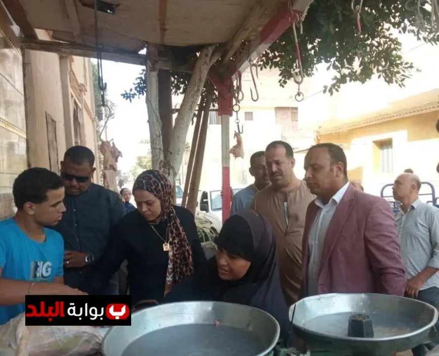 صحة المنيا تكشف عن ضبط 3.6 طن من الأغذية الفاسدة و24 محضرًا في بني مزار