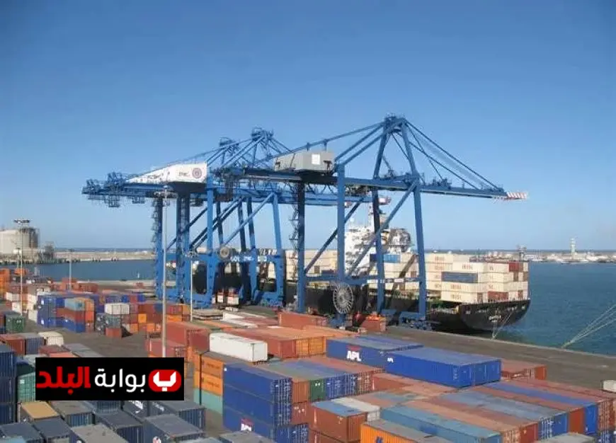 ميناء دمياط يستقطب 29 سفينة في يوم واحد