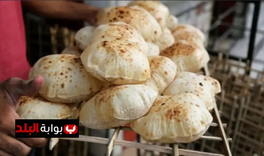 نايب وزير التموين يؤكد استقرار سعر رغيف الخبز المدعم للمستهلك دون أي تغيير