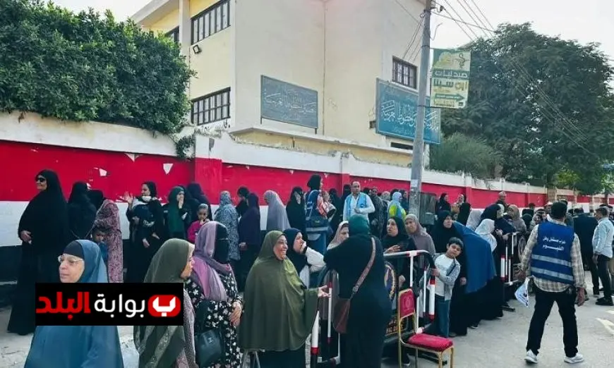 ولاء عزيز يكشف كيف ساهم وعي المواطن في نجاح الانتخابات