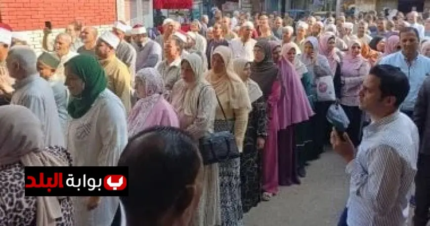 ولاء عزيز تؤكد أهمية دعم المرأة في البرامج الانتخابية للمرشحين