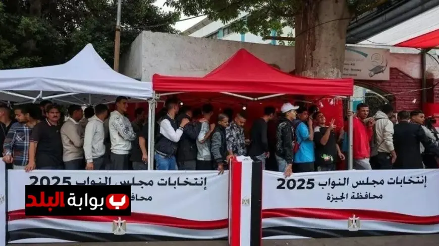 إسلام عفيفي يؤكد نزاهة انتخابات مجلس النواب ويكشف خلوها من المخالفات