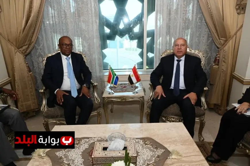 كامل الوزير يناقش مع وزير الصناعة الجنوب إفريقي سبل تعزيز التعاون المشترك