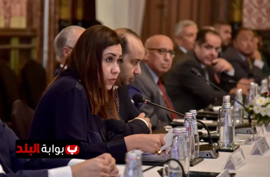 الهيئة العامة للتأمين الصحي تساهم في تعزيز التعاون المصري الهندي من خلال حلقة نقاشية متميزة