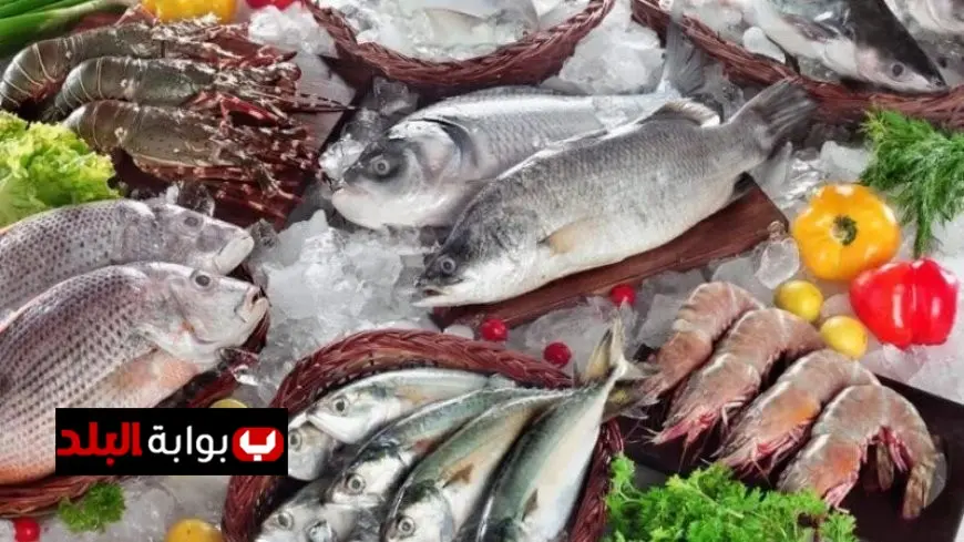 أسعار الأسماك اليوم الخميس الدنيس يبدأ من 275 جنيها في الأسواق