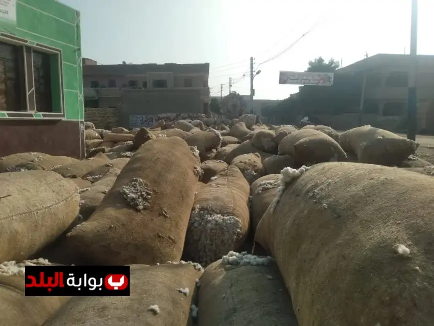 ضبط مستودع كبير لتخزين وبيع القطن بشكل غير قانوني في الشرقية