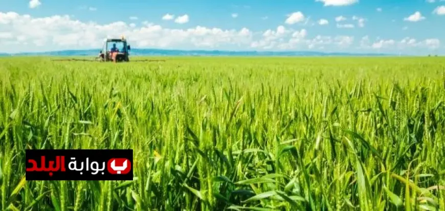 الزراعة تطلق توزيع 75 سطارة مطورة لتعزيز كفاءة زراعة القمح على مصاطب