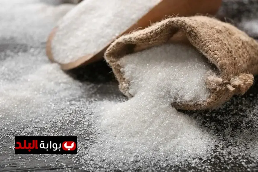 شعبة المستوردين تكشف تراجع أسعار السكر في مصر بمقدار 3 آلاف جنيه