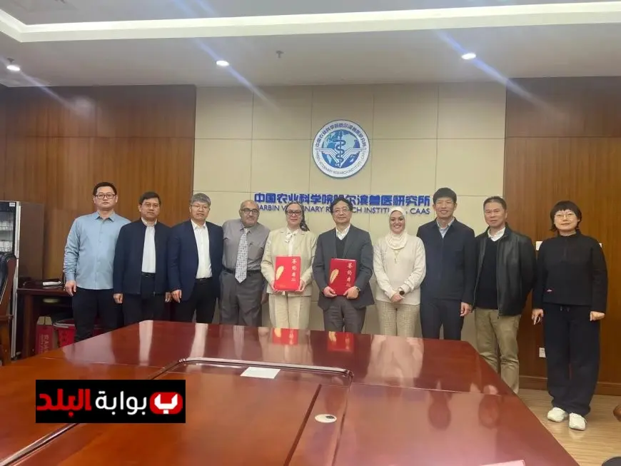 تعاون مصري صيني لتعزيز الابتكار في الصحة الحيوانية ودعم الزراعة المستدامة