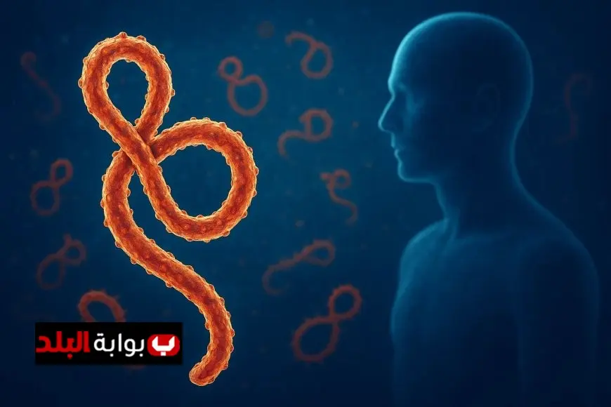 ملهوش لقاح اكتشف كل ما تحتاج معرفته عن فيروس ماربورج القاتل