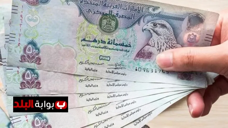 تحديث سعر صرف الدرهم الإماراتي مقابل الجنيه المصري اليوم الأحد 16 نوفمبر 2025
