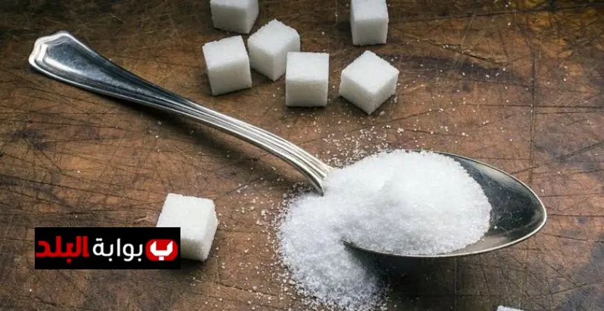 المالية تُطبق قرار حظر استيراد السكر المكرر لمدة 3 أشهر لتعزيز الإنتاج المحلي
